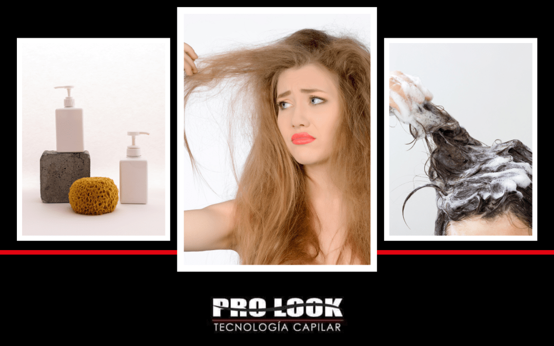 7 Químicos Dañinos en los Shampoos Cosméticos.